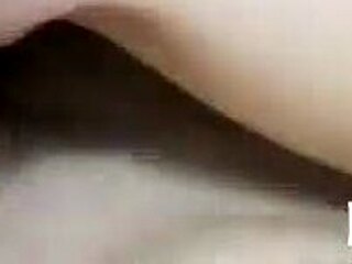 Amateur porn video of a girl sucking and fucking